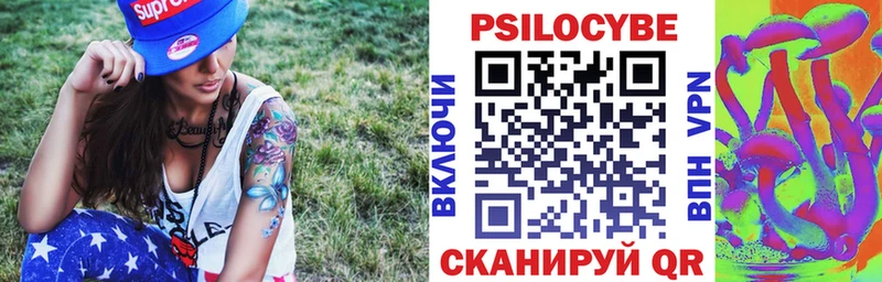 Купить закладки  Гай  Галлюциногенные грибы Psilocybine cubensis 