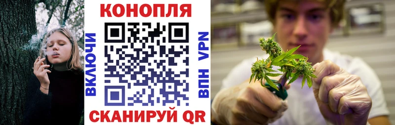 Бошки марихуана OG Kush  Купить где  Гай 